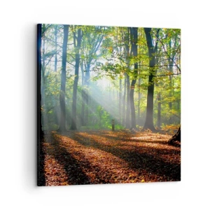 Quadro em tela - Luzes e sombras - 50x50 cm