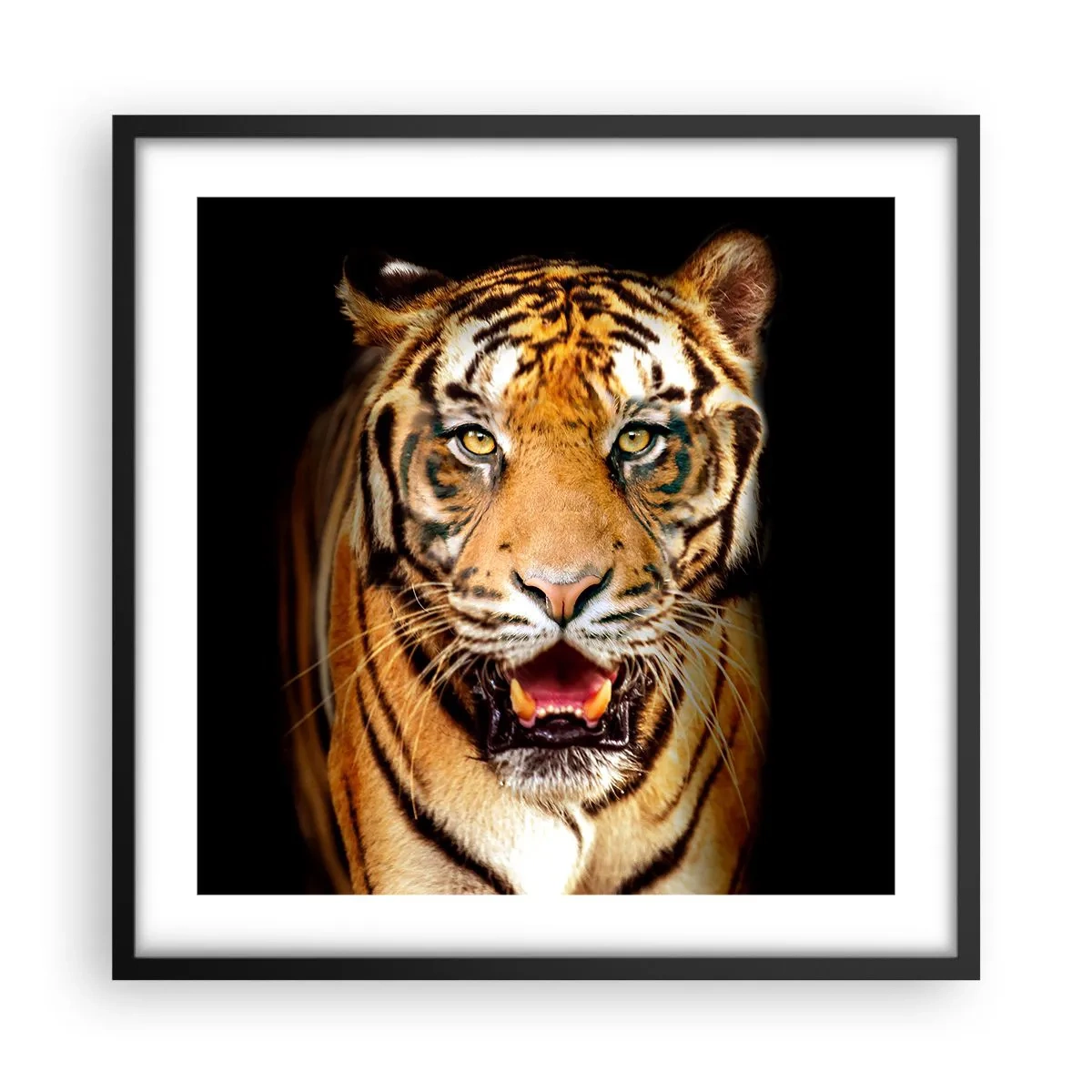 Pôster com moldura preta - Coração selvagem - 50x50 cm