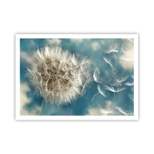 Pôster - Respiração de um anjo - 100x70 cm