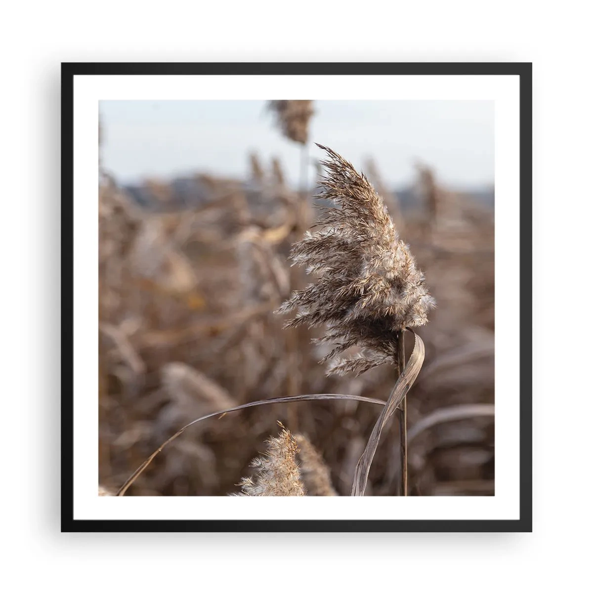 Pôster com moldura preta - É hora de voar com o vento - 60x60 cm