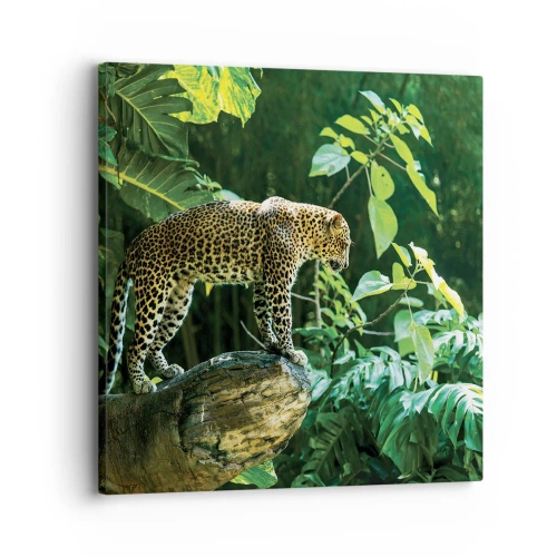 Quadro em tela - Vamos caçar? - 30x30 cm