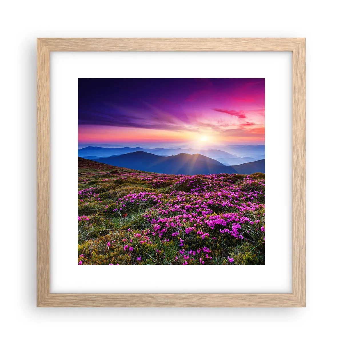 Pôster com moldura de carvalho claro - Campo cheiroso - 30x30 cm