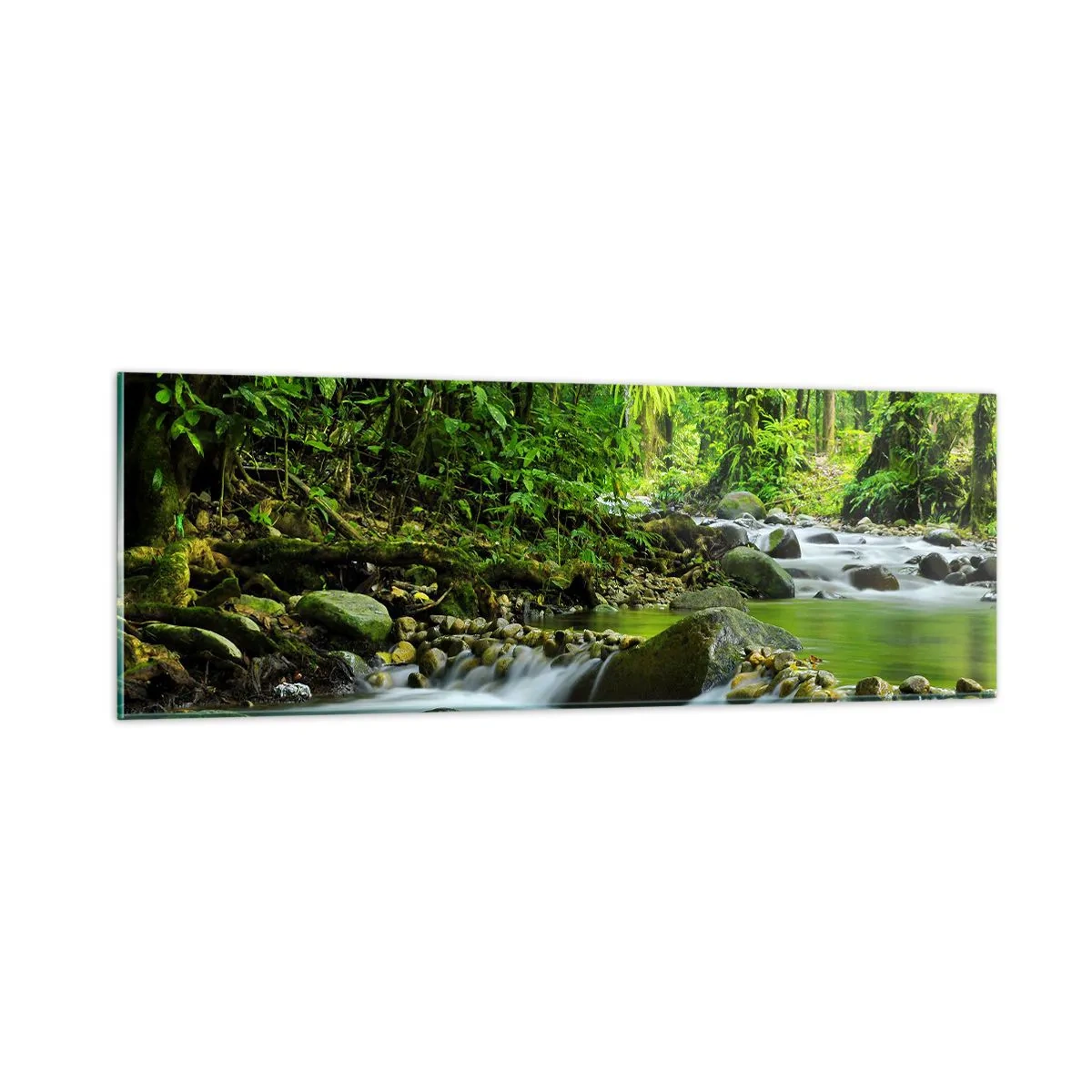 Quadro em vidro - Navegar no mar de vegetação - 90x30 cm
