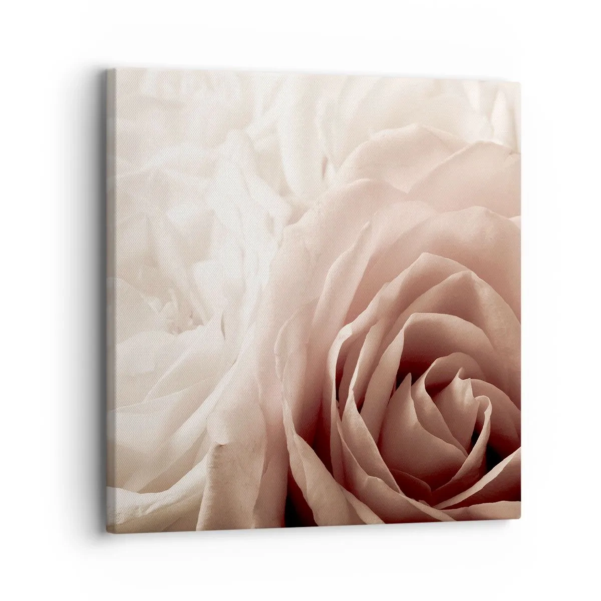 Quadro em tela - No coração de uma rosa - 30x30 cm