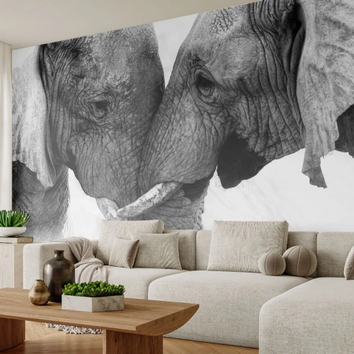 Papel de Parede Premium Canvas - Confissão sincera - Elefante, Animais, África - 350x256 cm