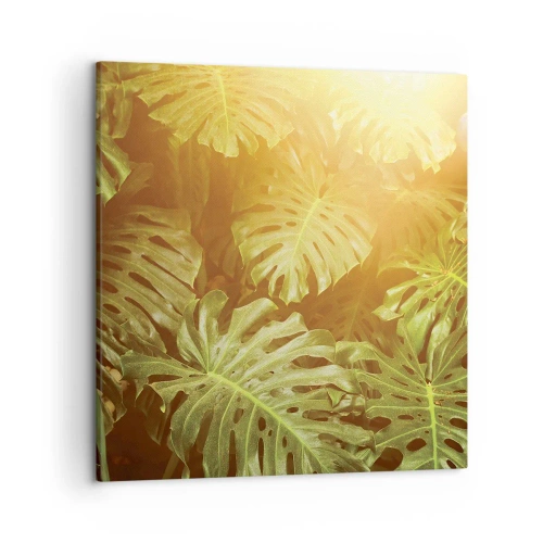 Quadro em tela - Um mergulho na vegetação - 50x50 cm