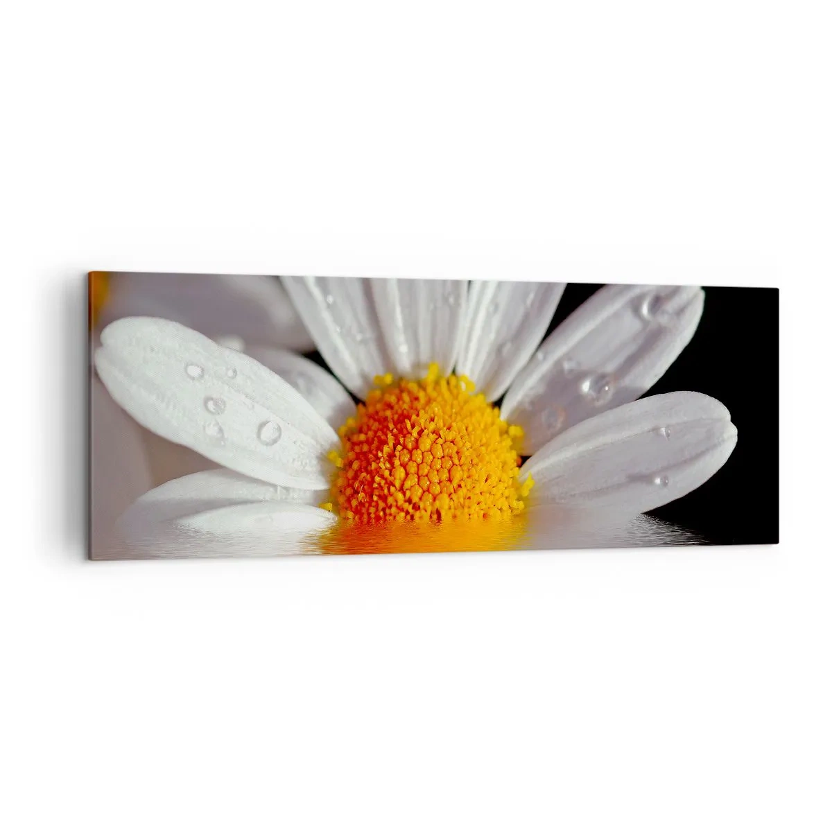 Quadro em tela - As margaridas do sol nascente - 140x50 cm