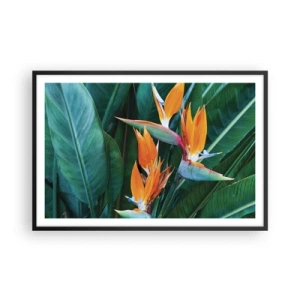 Pôster com moldura preta - É uma flor ou é um pássaro? - 91x61 cm