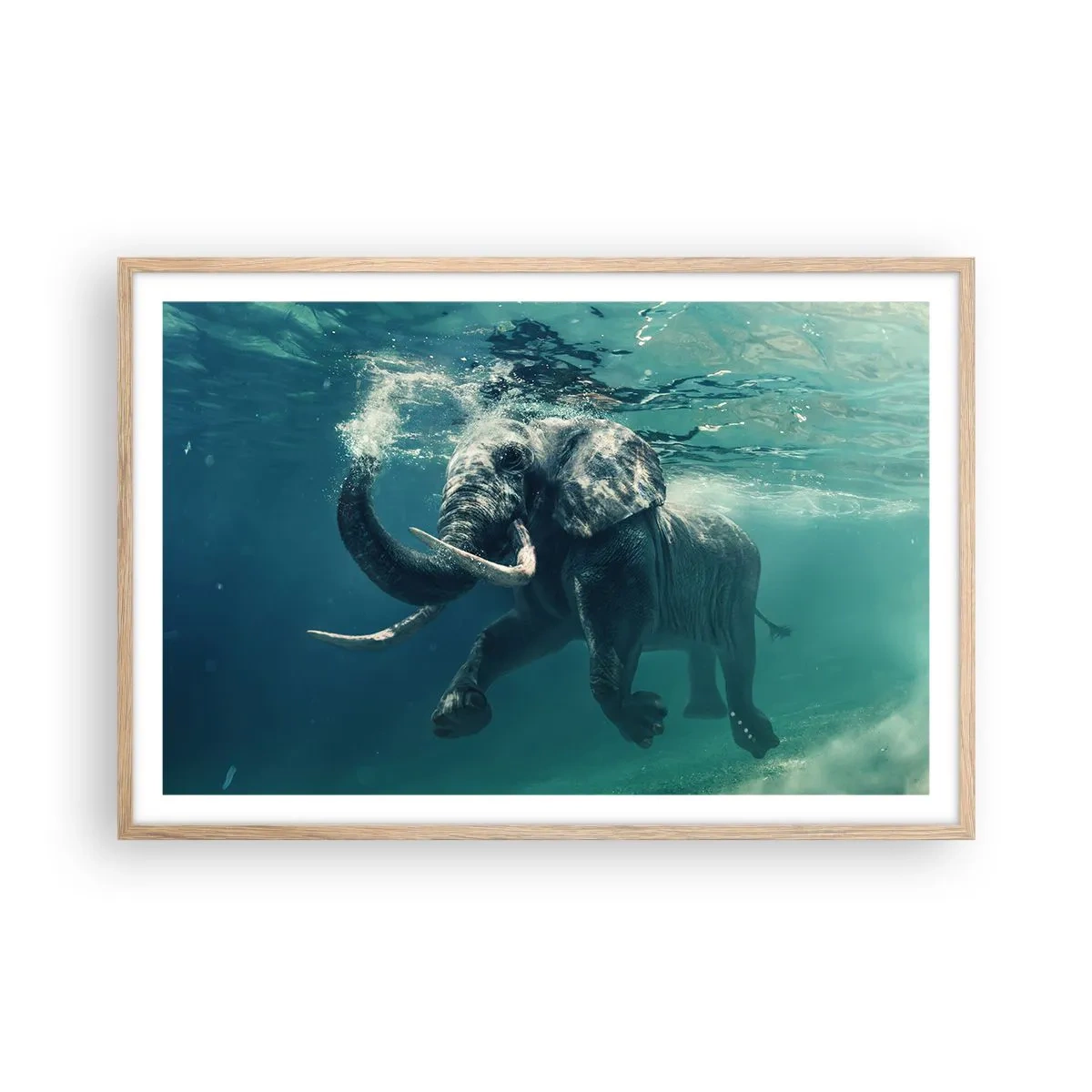 Pôster com moldura de carvalho claro - Todo mundo gosta de nadar - 91x61 cm