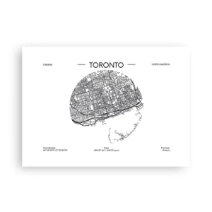 Pôster - Anatomia de Toronto - 70x50 cm