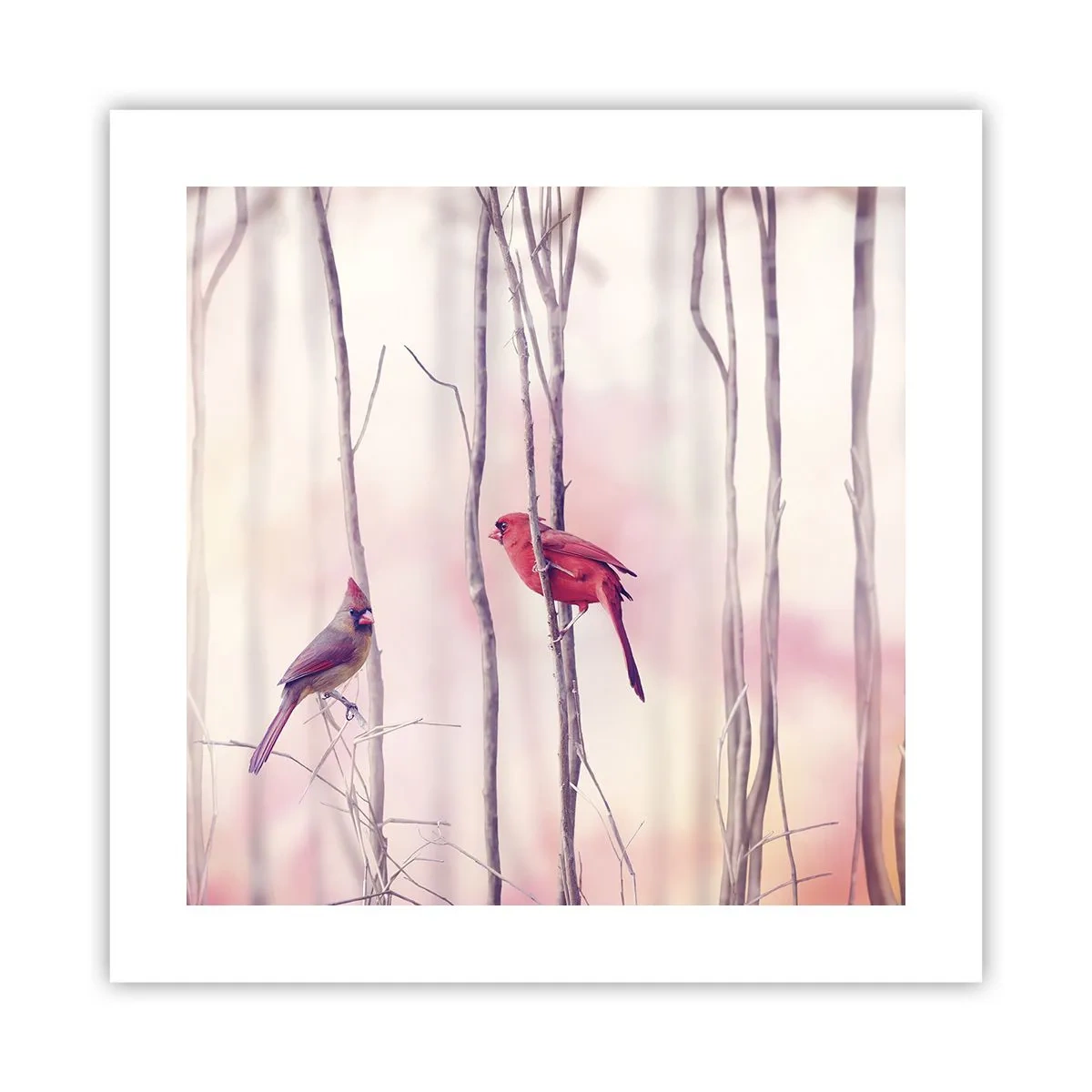 Pôster - O Conto da floresta rosa - 40x40 cm