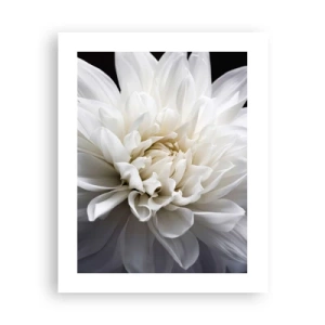 Pôster - Manhã da noiva - 40x50 cm