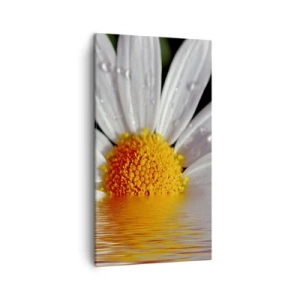 Quadro em tela - As margaridas do sol nascente - 45x80 cm