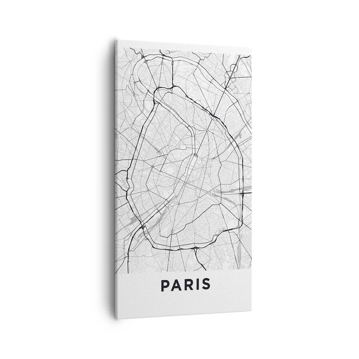 Quadro em tela - Flor de Paris - 55x100 cm
