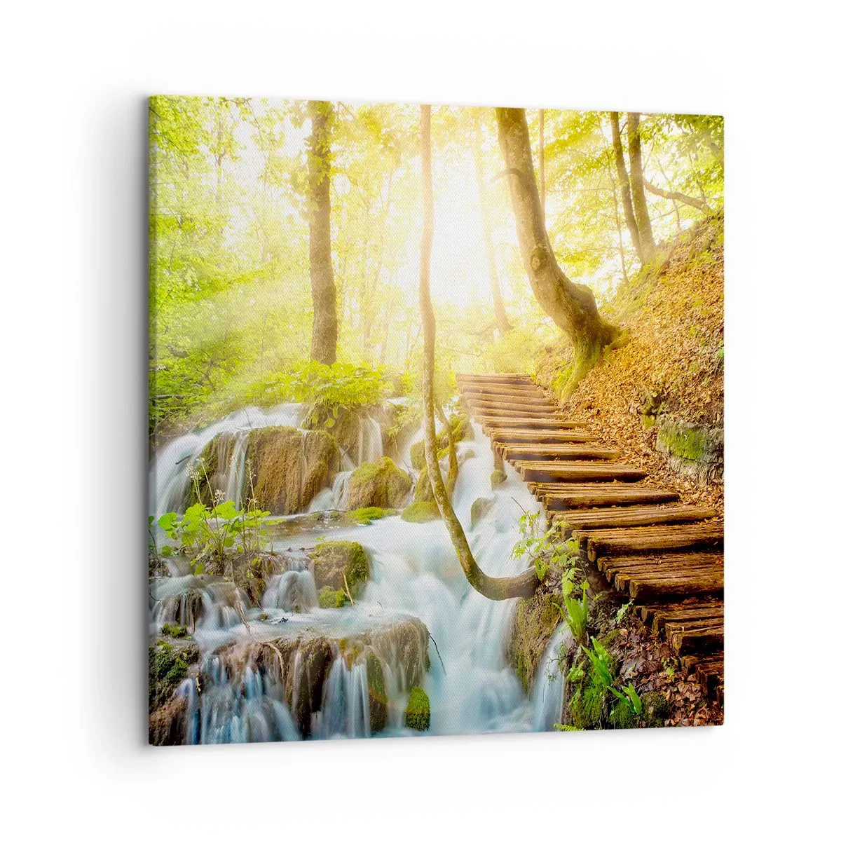 Quadro em tela - O desejado refresco - 50x50 cm