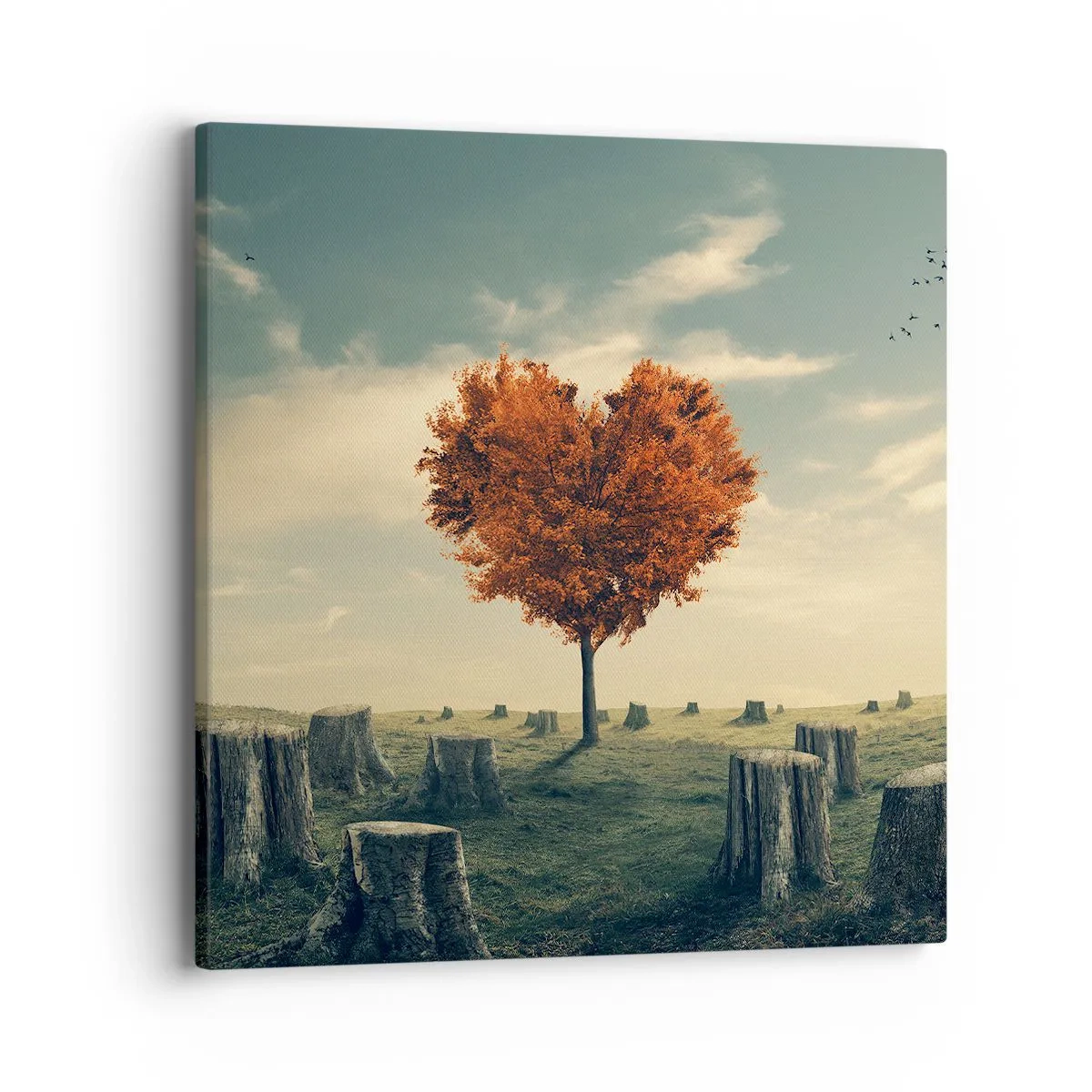 Quadro em tela - Ainda há esperança - 40x40 cm