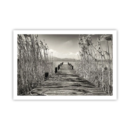 Pôster - No silêncio da relva - 91x61 cm