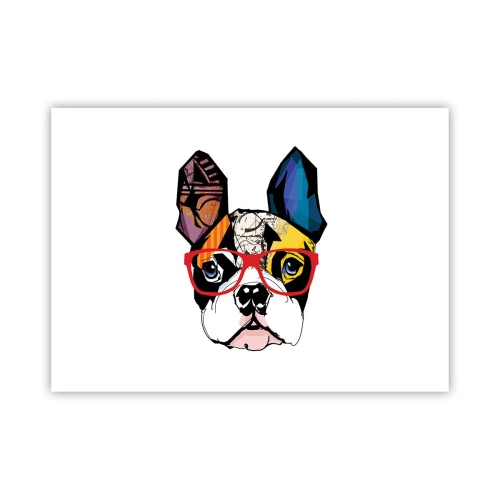 Pôster - Intelectual - 70x50 cm