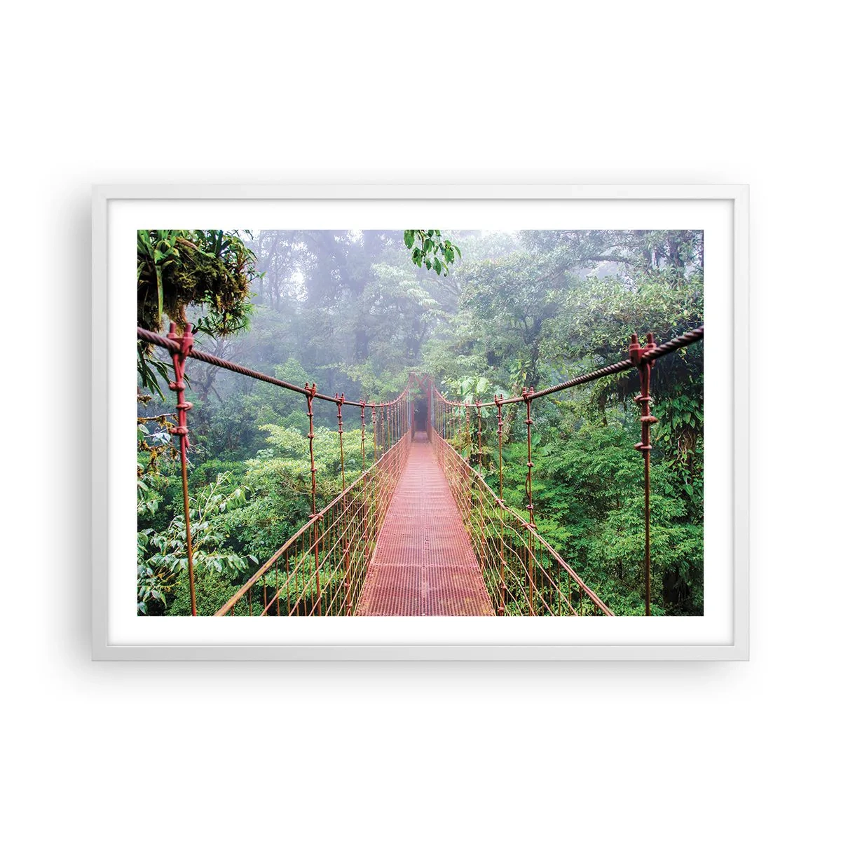 Pôster em moldura branca - Suspenso acima das copas - 70x50 cm