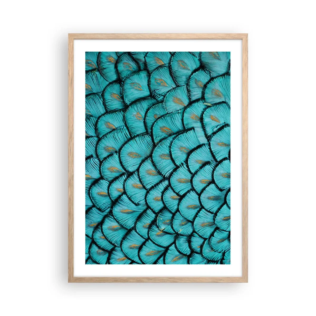 Pôster com moldura de carvalho claro - A grande gala de penas - 50x70 cm