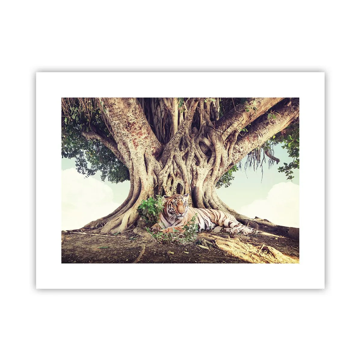 Pôster - Vista do livro de Gênesis - 40x30 cm