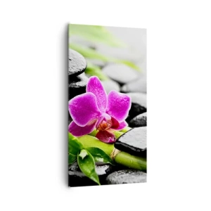 Quadro em tela - Calmo equilíbrio - 65x120 cm