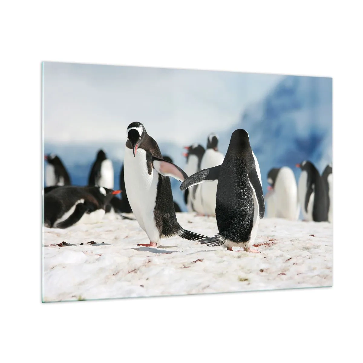 Quadro em vidro - Dança na neve - 100x70 cm