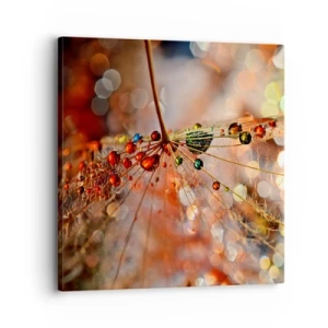 Quadro em tela - Enroscado numa teia de aranha - 30x30 cm