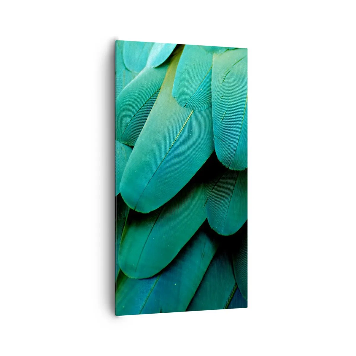 Quadro em tela - Precisão de papagaio - 65x120 cm
