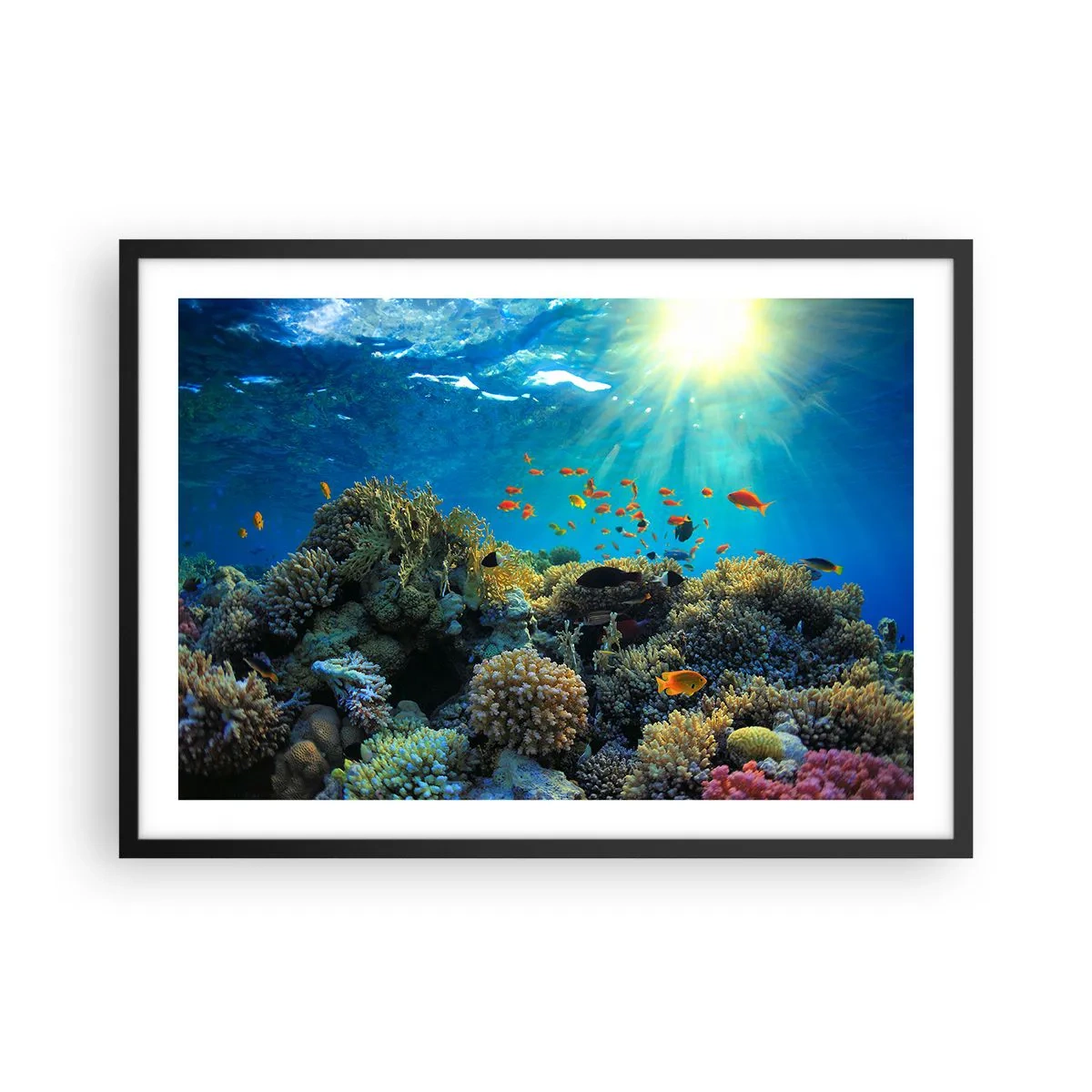 Pôster com moldura preta - Tesouros subaquáticos - 70x50 cm