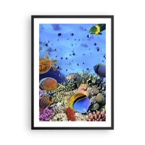 Pôster com moldura preta - O mundo subaquático de um recife de coral com peixes tropicais - 50x70cm - E o que sabemos sobre a vida... - Decoração de parede moderna para a sala de estar e quarto ARTTOR
