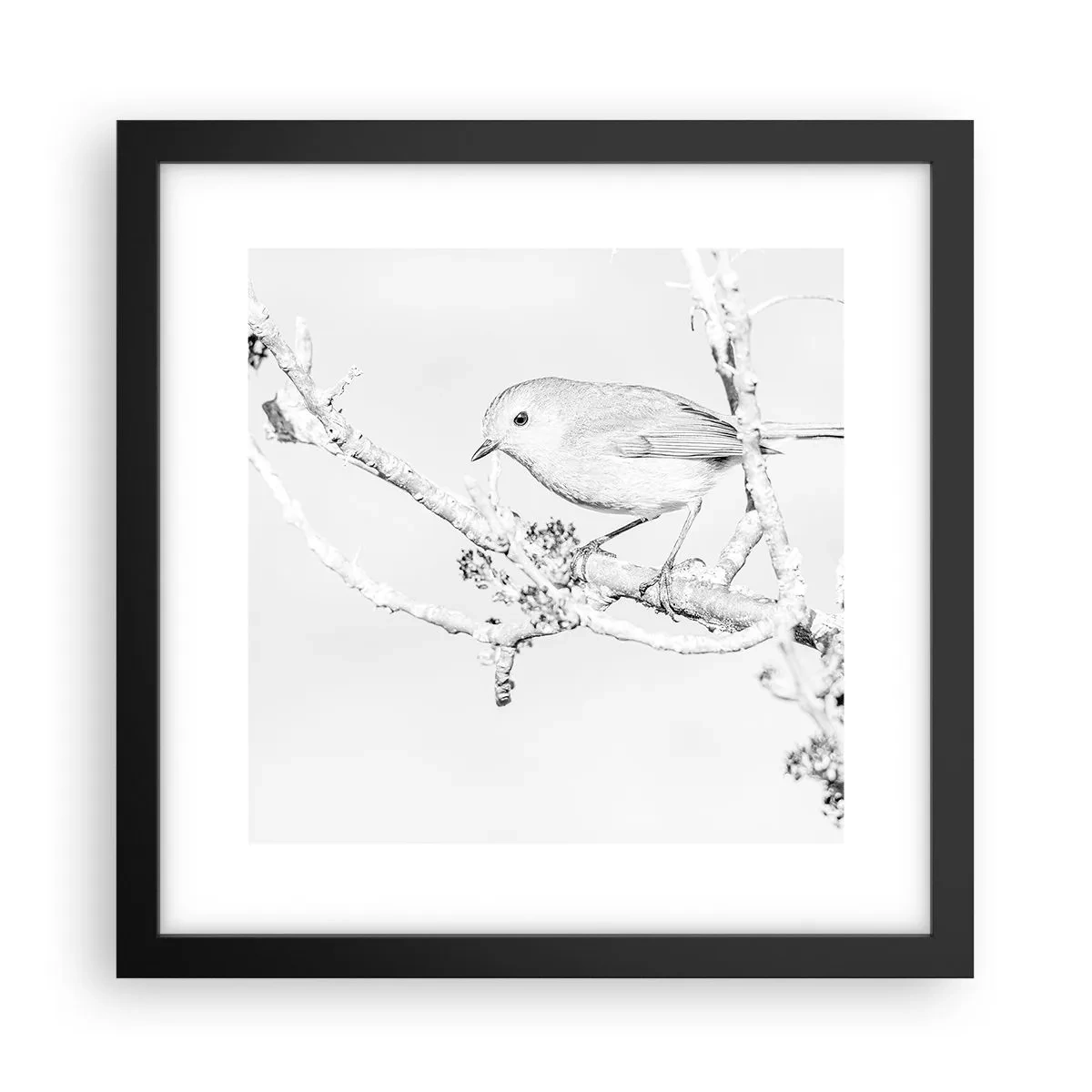 Pôster com moldura preta - Manhã de inverno - 30x30 cm