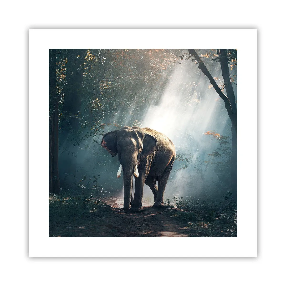 Pôster - Um passeio descontraído - 40x40 cm