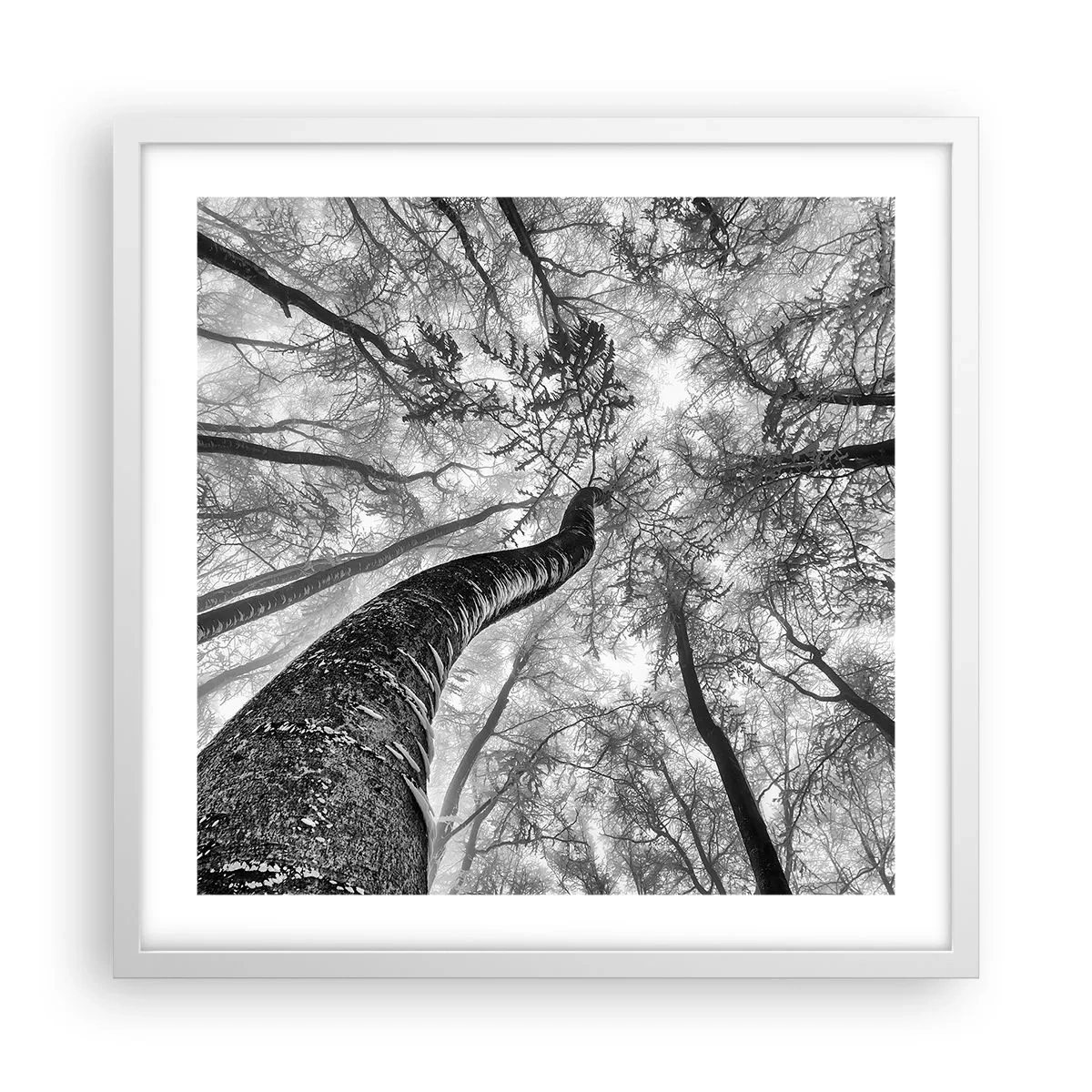 Pôster em moldura branca - Corrida até a luz - 50x50 cm