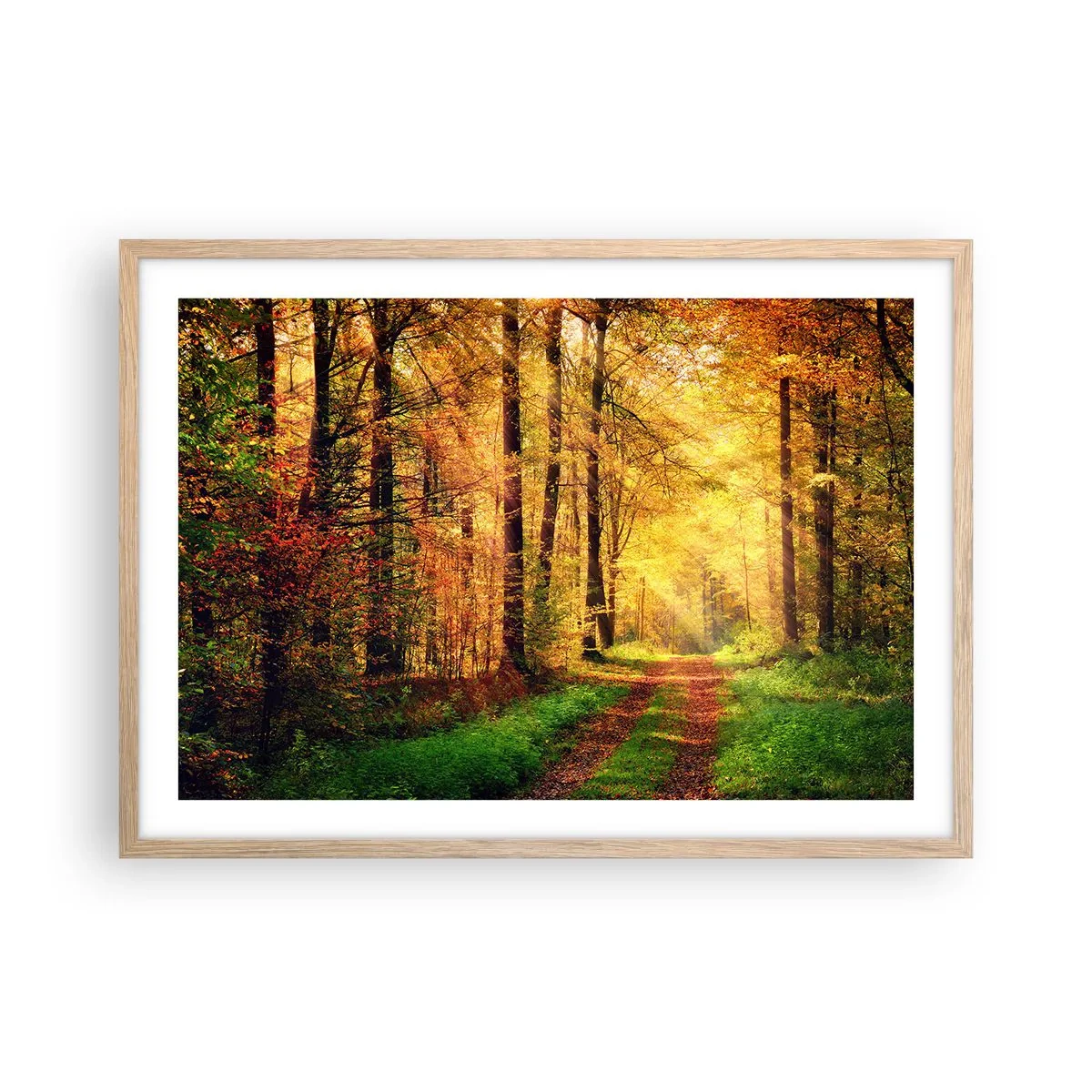 Pôster com moldura de carvalho claro - Silêncio dourado da floresta - 70x50 cm