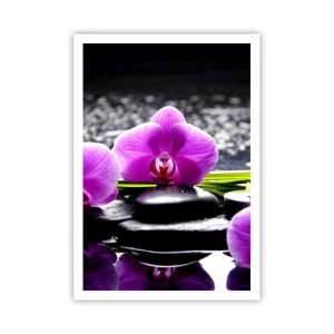 Pôster - Afogar-se na paz e sossego - 70x100 cm