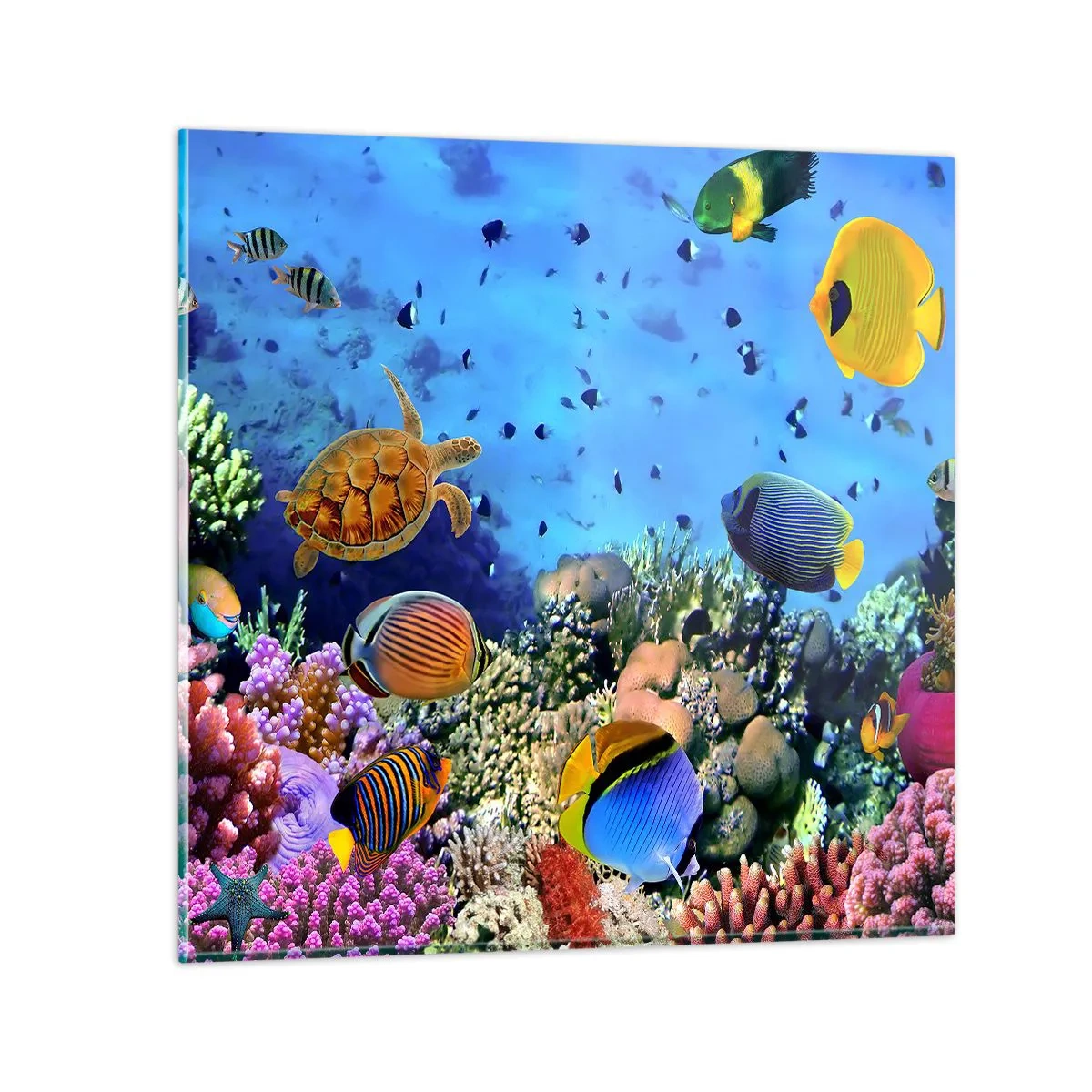 Quadro em vidro - E o que sabemos sobre a vida... - 70x70 cm