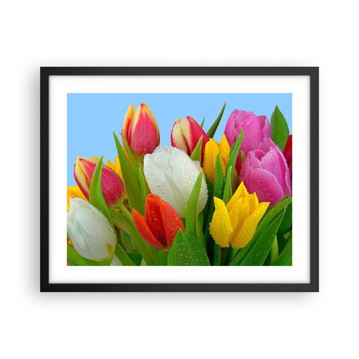 Pôster com moldura preta - Arco-íris floral em gotas de orvalho - 50x40 cm