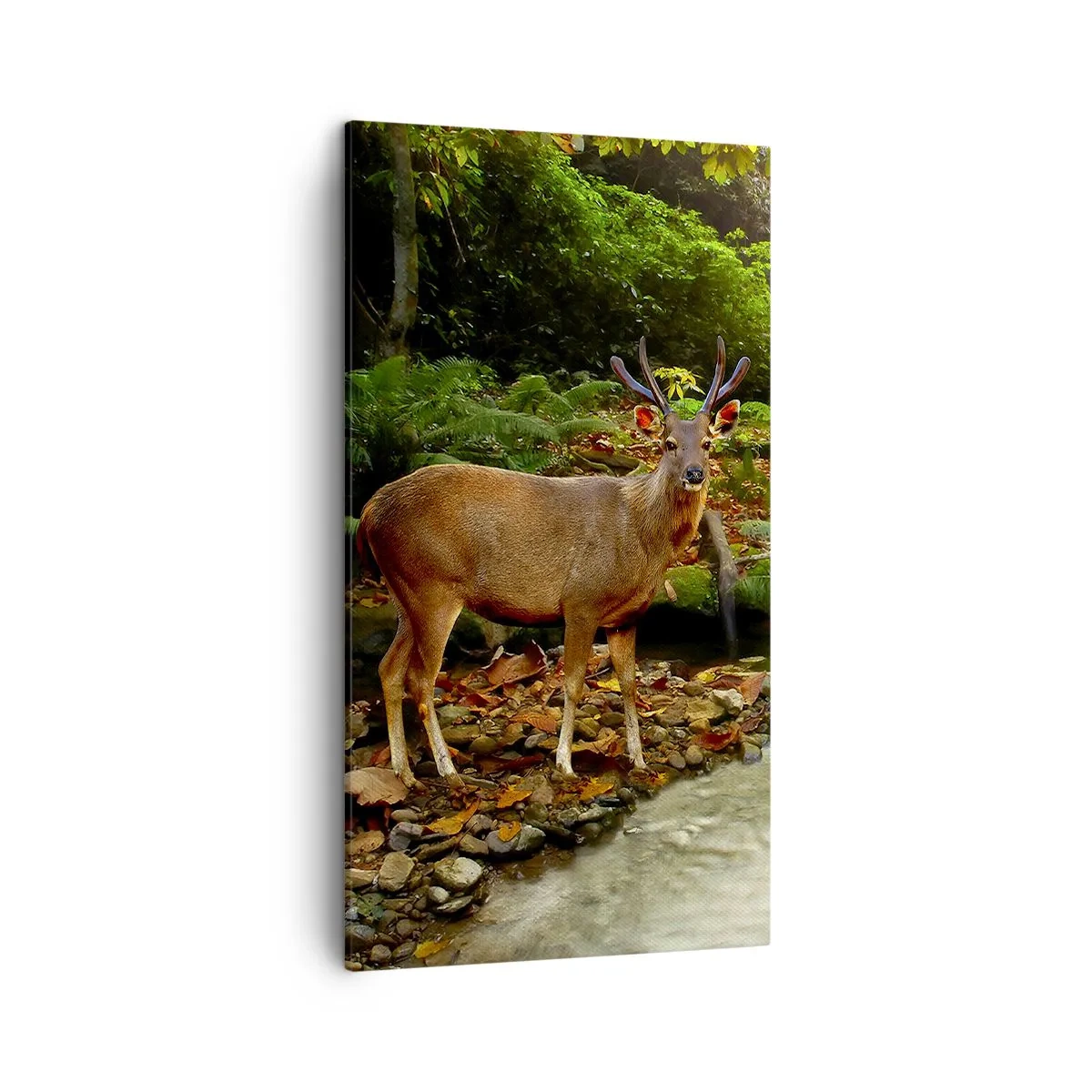 Quadro em tela - Bem-vindo ao meu mundo - 45x80 cm