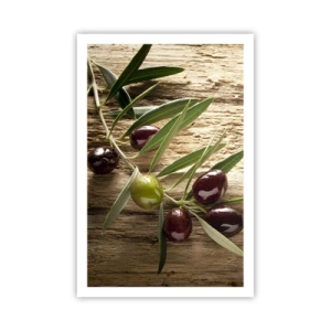 Pôster - Direto da natureza - 61x91 cm