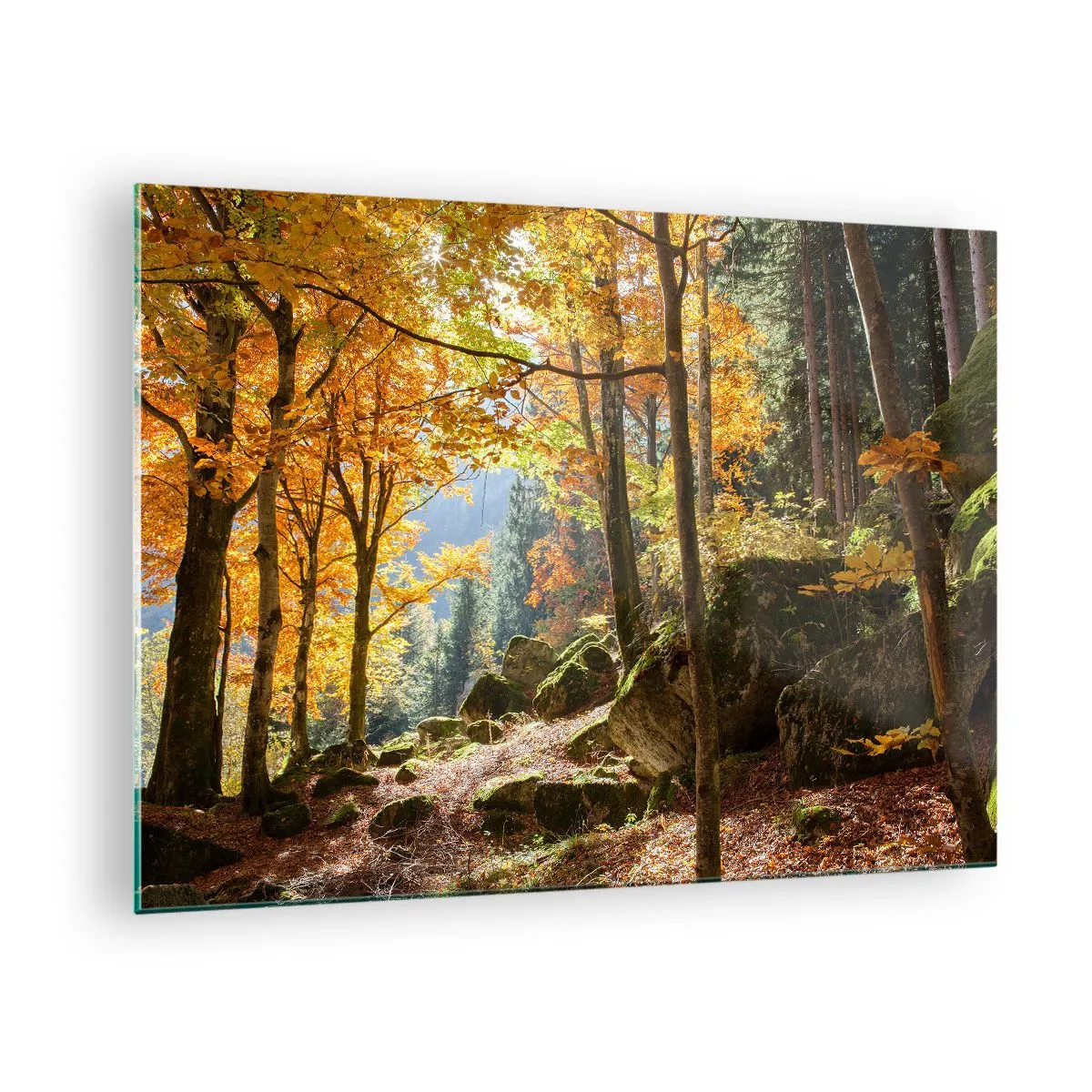 Quadro em vidro - Floresta de outono com raios de sol e pedras - 70x50cm - Tempo para descansar - Decoração de parede moderna para a sala de estar e quarto ARTTOR