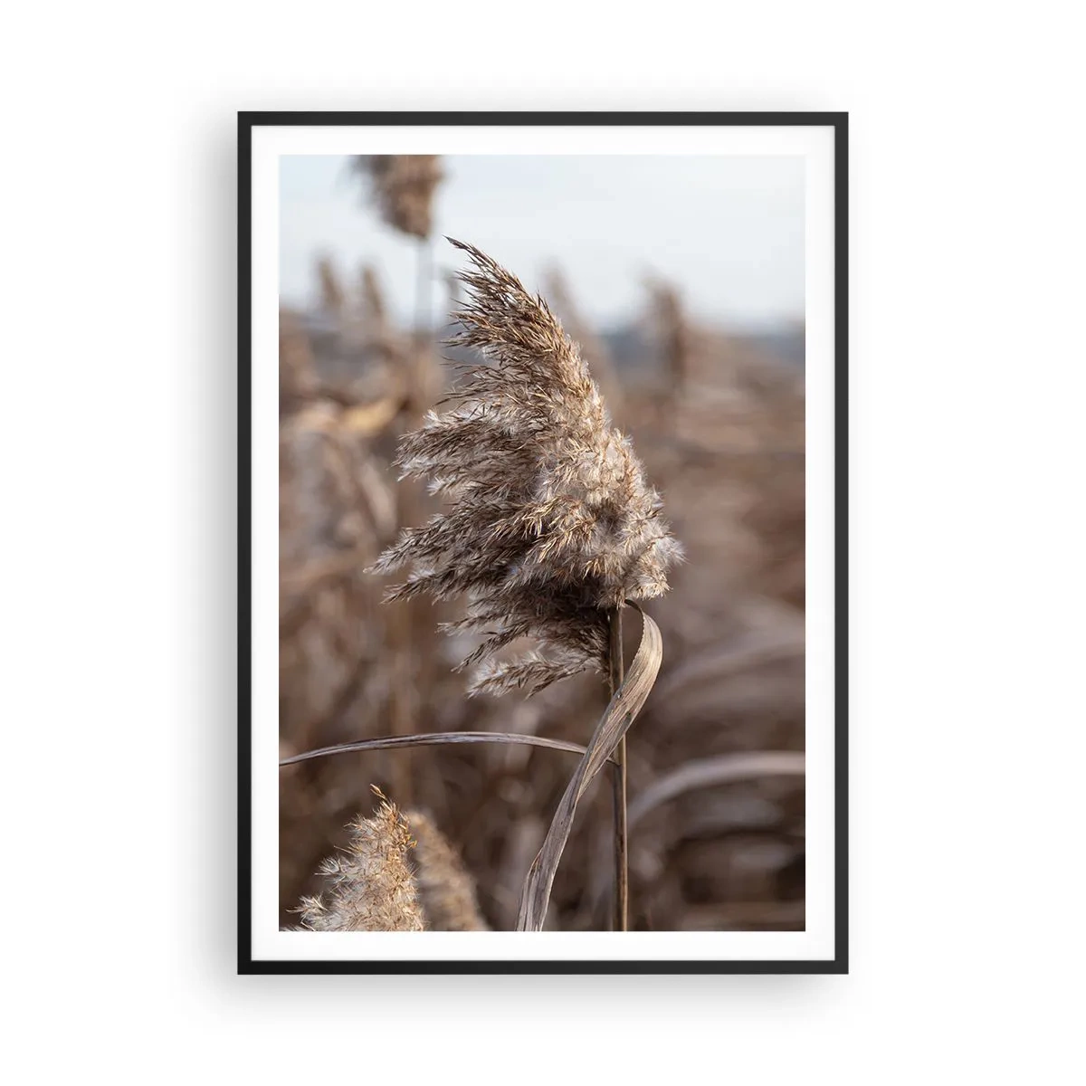 Pôster com moldura preta - É hora de voar com o vento - 70x100 cm