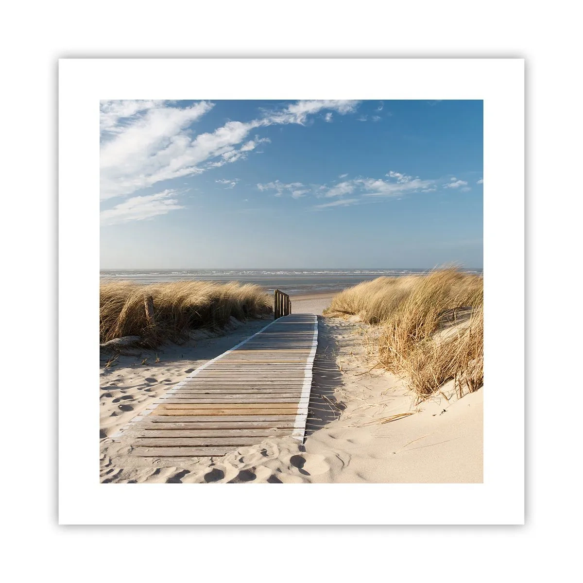 Pôster - Atrás da duna, ao som da relva - 40x40 cm