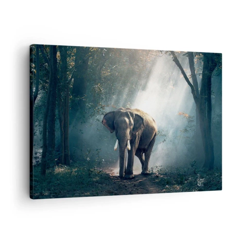Quadro em tela - Elefante na luz da floresta - 70x50cm - Um passeio descontraído - Decoração de parede moderna para a sala de estar e quarto ARTTOR