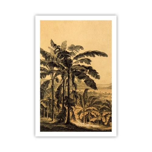 Pôster - num clima colonial - 61x91 cm