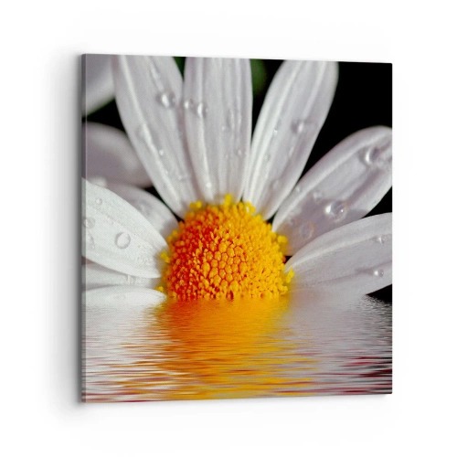 Quadro em tela - As margaridas do sol nascente - 70x70 cm