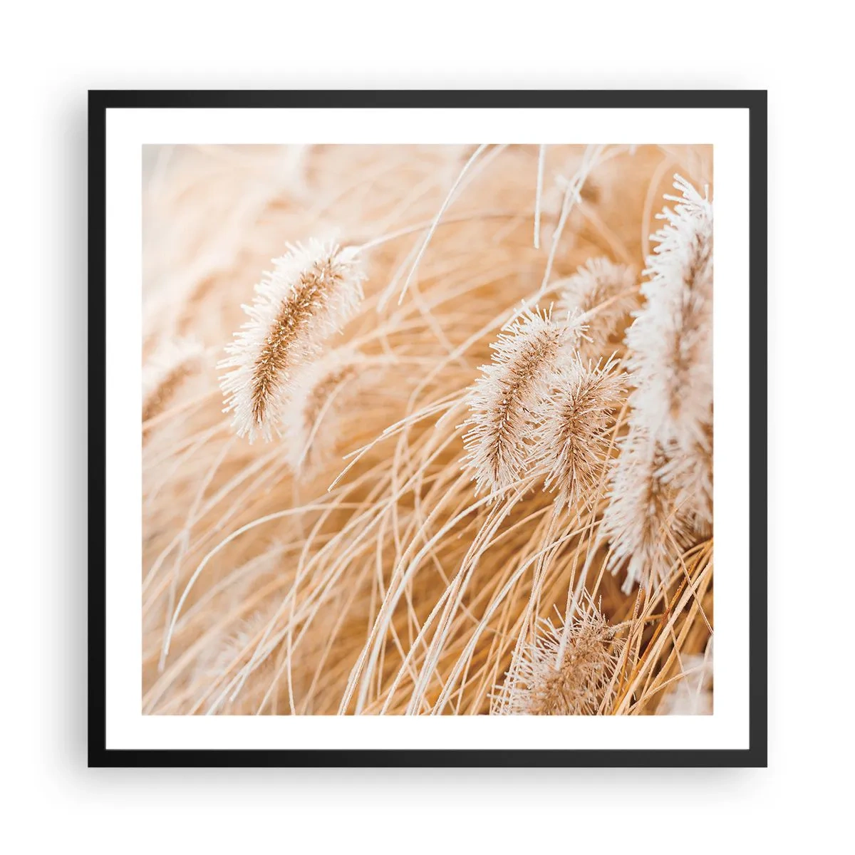 Pôster com moldura preta - O murmúrio dourado das plantas - 60x60 cm
