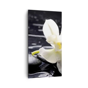 Quadro em tela - Estudo a preto e branco - 55x100 cm