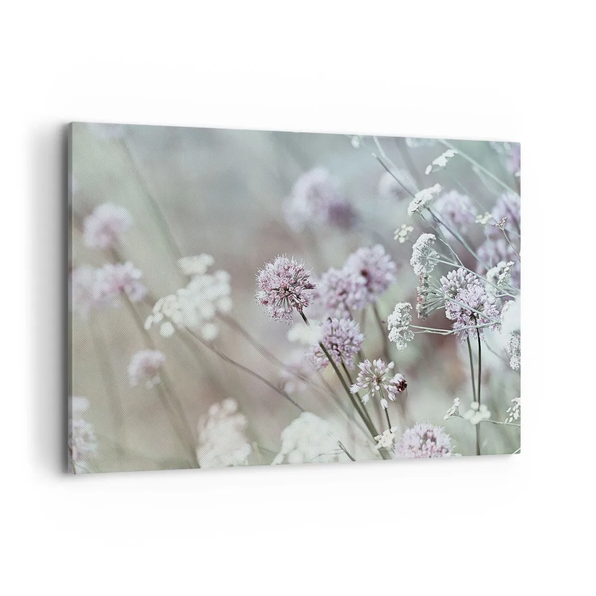 Quadro em tela - Doce delicadeza das ervas - 100x70 cm