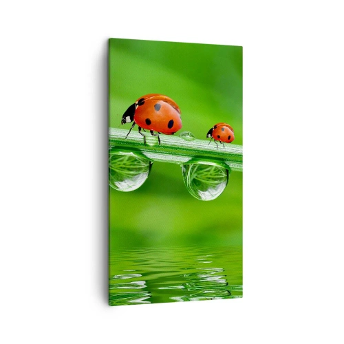 Quadro em tela - Estrada do verão - 45x80 cm